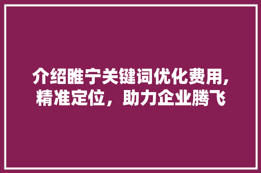 介绍睢宁关键词优化费用,精准定位，助力企业腾飞