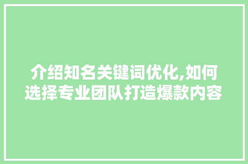 介绍知名关键词优化,如何选择专业团队打造爆款内容