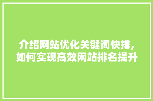 介绍网站优化关键词快排,如何实现高效网站排名提升