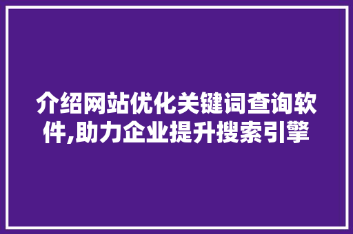 介绍网站优化关键词查询软件,助力企业提升搜索引擎排名的秘密武器