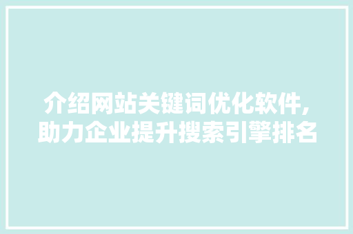 介绍网站关键词优化软件,助力企业提升搜索引擎排名的秘密武器