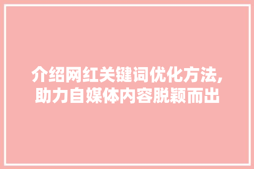 介绍网红关键词优化方法,助力自媒体内容脱颖而出