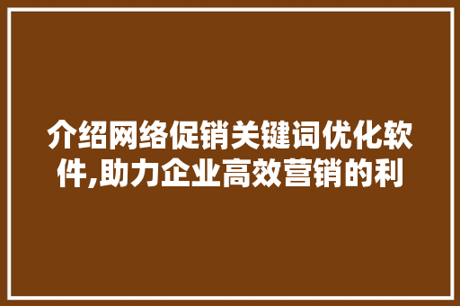 介绍网络促销关键词优化软件,助力企业高效营销的利器