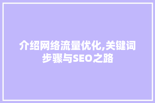 介绍网络流量优化,关键词步骤与SEO之路