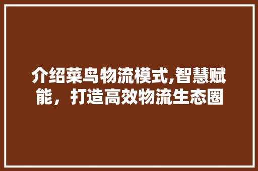 介绍菜鸟物流模式,智慧赋能，打造高效物流生态圈