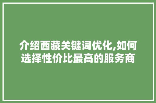 介绍西藏关键词优化,如何选择性价比最高的服务商