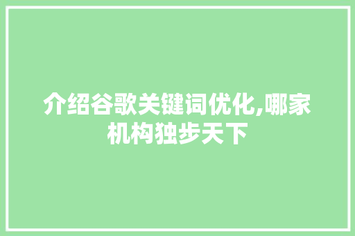 介绍谷歌关键词优化,哪家机构独步天下