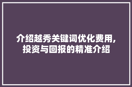 介绍越秀关键词优化费用,投资与回报的精准介绍
