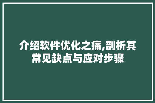 介绍软件优化之痛,剖析其常见缺点与应对步骤