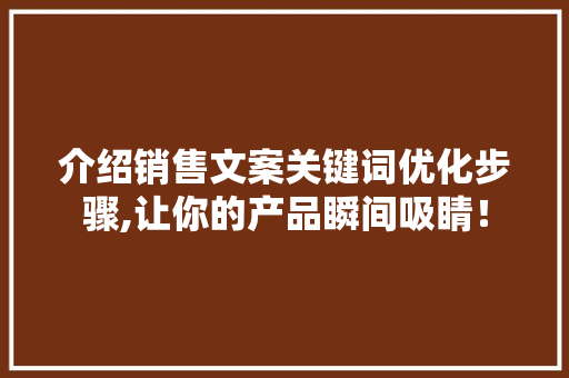 介绍销售文案关键词优化步骤,让你的产品瞬间吸睛！
