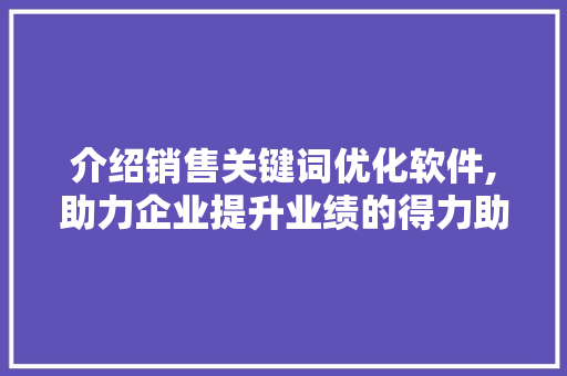 介绍销售关键词优化软件,助力企业提升业绩的得力助手