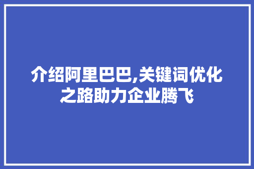 介绍阿里巴巴,关键词优化之路助力企业腾飞