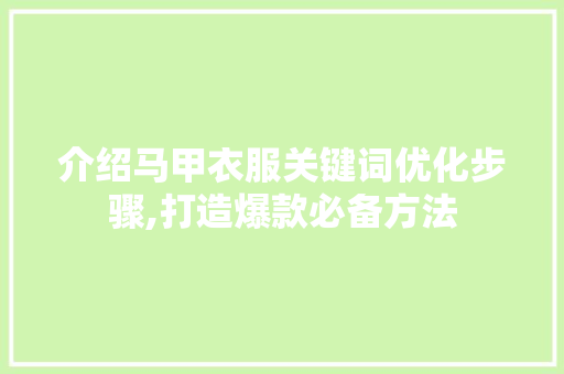 介绍马甲衣服关键词优化步骤,打造爆款必备方法
