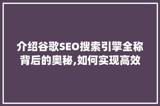 介绍谷歌SEO搜索引擎全称背后的奥秘,如何实现高效搜索引擎优化_谷歌seo搜索引擎全称怎么写