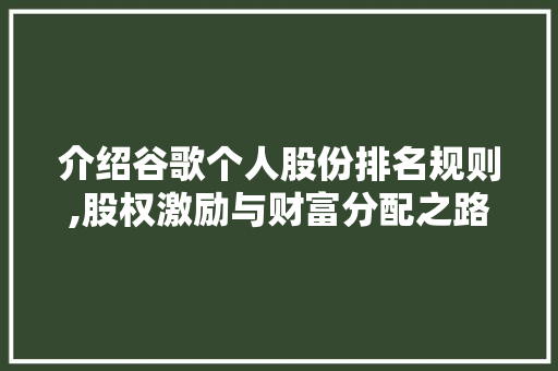 介绍谷歌个人股份排名规则,股权激励与财富分配之路