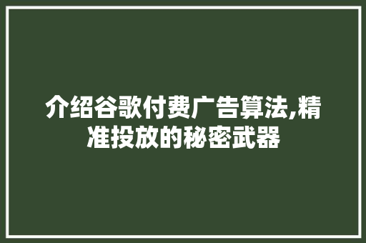 介绍谷歌付费广告算法,精准投放的秘密武器