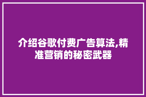 介绍谷歌付费广告算法,精准营销的秘密武器