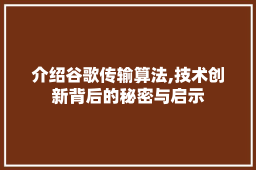 介绍谷歌传输算法,技术创新背后的秘密与启示