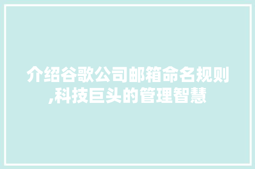 介绍谷歌公司邮箱命名规则,科技巨头的管理智慧