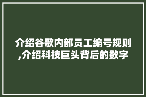 介绍谷歌内部员工编号规则,介绍科技巨头背后的数字密码