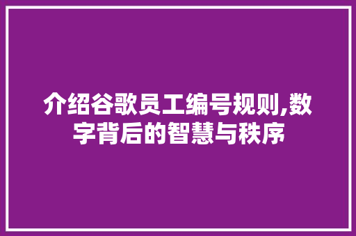 介绍谷歌员工编号规则,数字背后的智慧与秩序