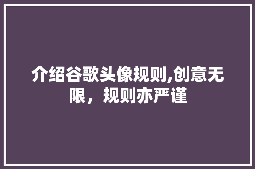 介绍谷歌头像规则,创意无限，规则亦严谨