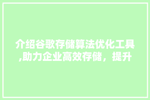 介绍谷歌存储算法优化工具,助力企业高效存储，提升数据管理能力