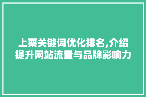 上栗关键词优化排名,介绍提升网站流量与品牌影响力的方法