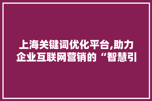 上海关键词优化平台,助力企业互联网营销的“智慧引擎”