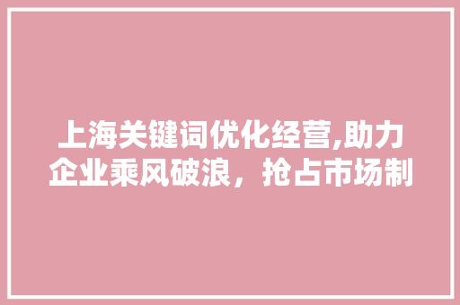 上海关键词优化经营,助力企业乘风破浪，抢占市场制高点