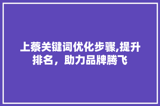 上蔡关键词优化步骤,提升排名，助力品牌腾飞