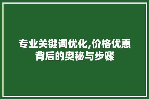 专业关键词优化,价格优惠背后的奥秘与步骤