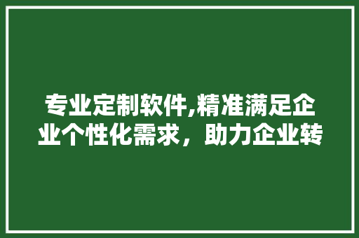 专业定制软件,精准满足企业个性化需求，助力企业转型升级