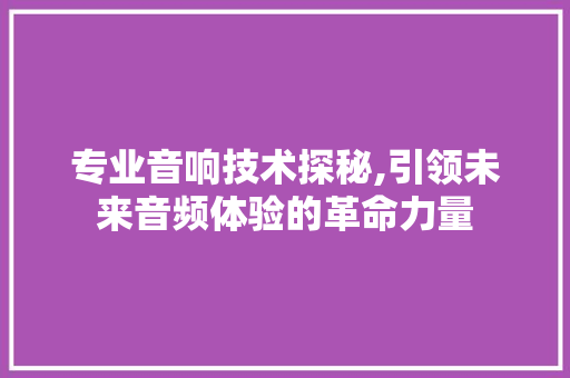 专业音响技术探秘,引领未来音频体验的革命力量
