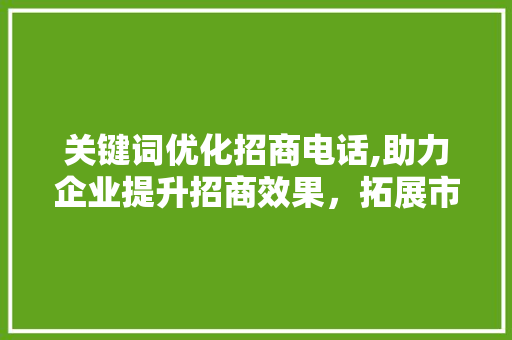 关键词优化招商电话,助力企业提升招商效果，拓展市场新机遇