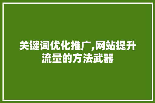 关键词优化推广,网站提升流量的方法武器
