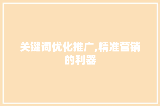 关键词优化推广,精准营销的利器