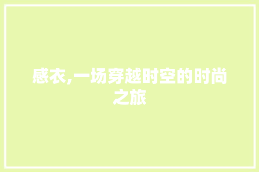 感衣,一场穿越时空的时尚之旅 网站建设