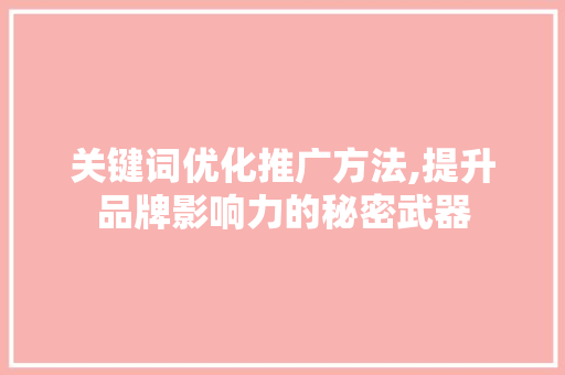 关键词优化推广方法,提升品牌影响力的秘密武器