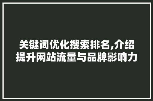 关键词优化搜索排名,介绍提升网站流量与品牌影响力的方法