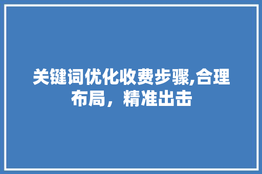 关键词优化收费步骤,合理布局，精准出击