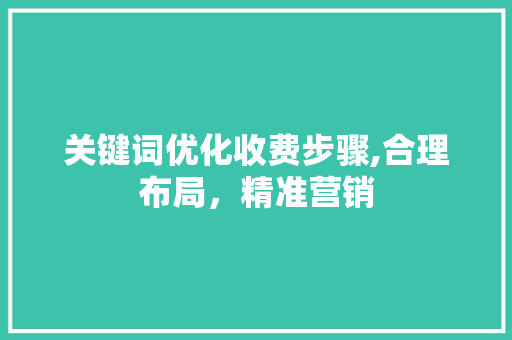 关键词优化收费步骤,合理布局，精准营销