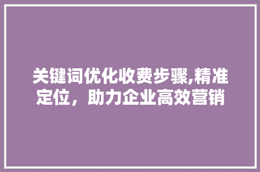 关键词优化收费步骤,精准定位，助力企业高效营销