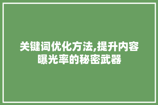 关键词优化方法,提升内容曝光率的秘密武器