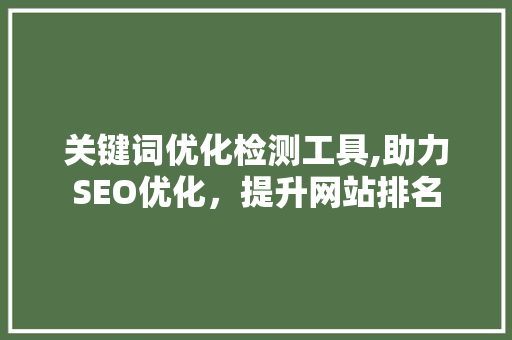 关键词优化检测工具,助力SEO优化，提升网站排名