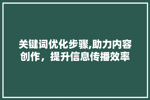 关键词优化步骤,助力内容创作，提升信息传播效率