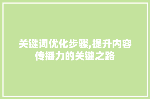 关键词优化步骤,提升内容传播力的关键之路