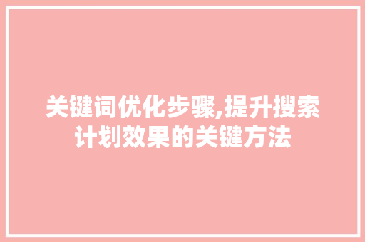 关键词优化步骤,提升搜索计划效果的关键方法
