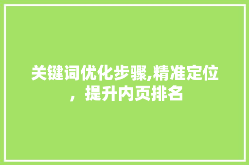 关键词优化步骤,精准定位，提升内页排名