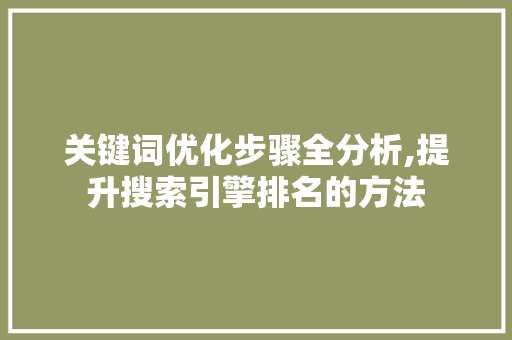关键词优化步骤全分析,提升搜索引擎排名的方法